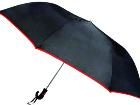 UMBRELLA 2 FOLD (FS)